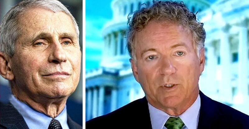 anthony fauci and rand paul