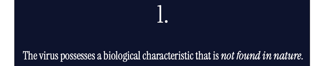 image 5.png
