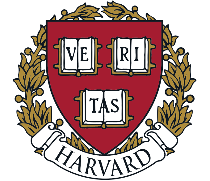 image 7.png