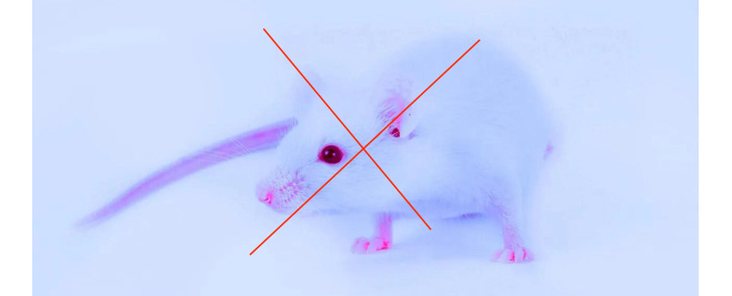 image 10.png