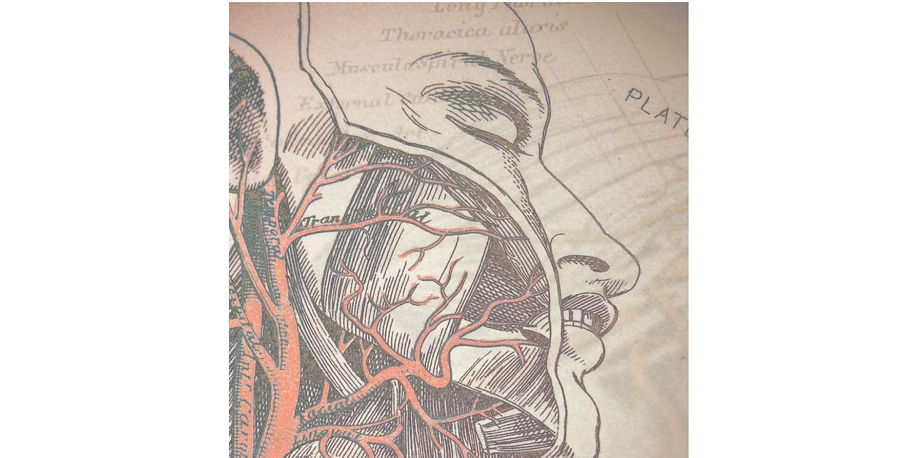 Utilitarian Bioethics, Medical Socialism and the State