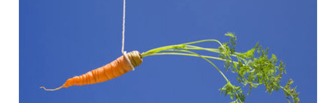 image 15.png image 15.png